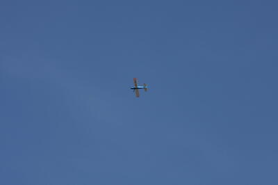 IMG 5944